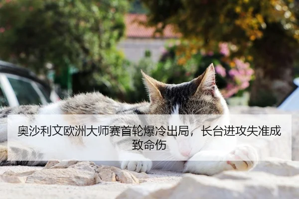 ao-sha-li-wen-ou-zhou-da-shi-sai-shou-lun-bao-leng-chu-ju-zhang-tai-jin-gong-shi-zhun-cheng-zhi-ming-shang-2-913.jpg