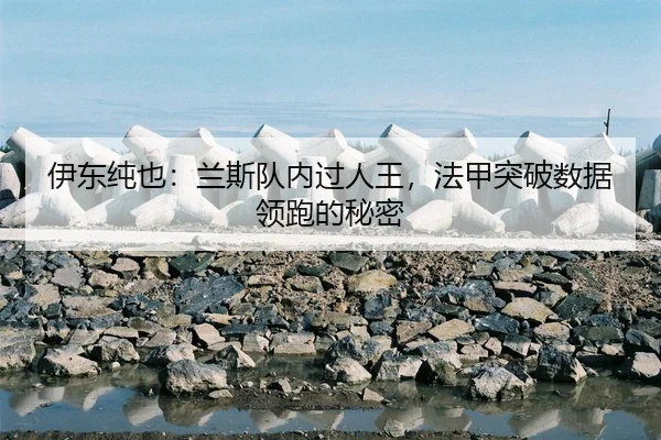 yi-dong-chun-ye-lan-si-dui-nei-guo-ren-wang-fa-jia-tu-po-shu-ju-ling-pao-de-mi-mi-3-283.jpg