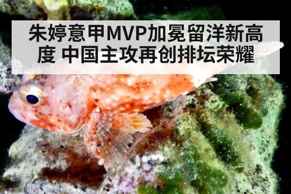 朱婷意甲MVP加冕留洋新高度 中国主攻再创排坛荣耀